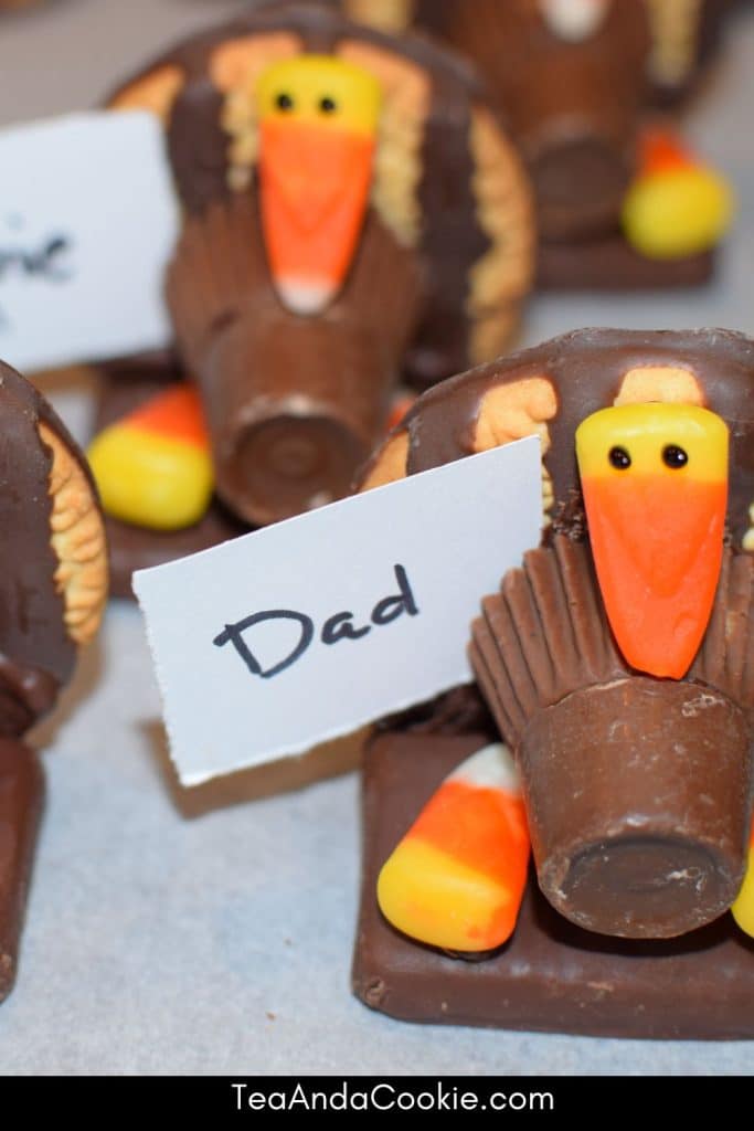 Turkey Cookies With Fudge Stripes