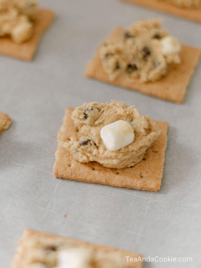 Chocolate Chip Smores Cookies