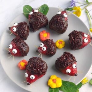 A plate of chocolate covered hedgehog strawberries