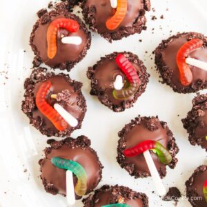 Dirt Cake Pops